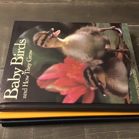 Kids National Geographic Book Bundle - Picture 1 of 5
